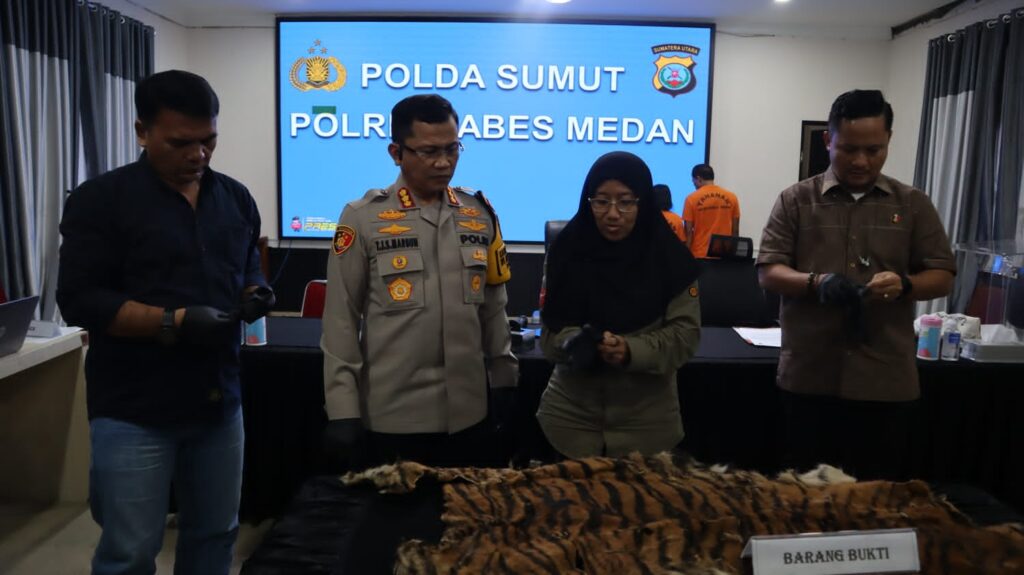 Kulit