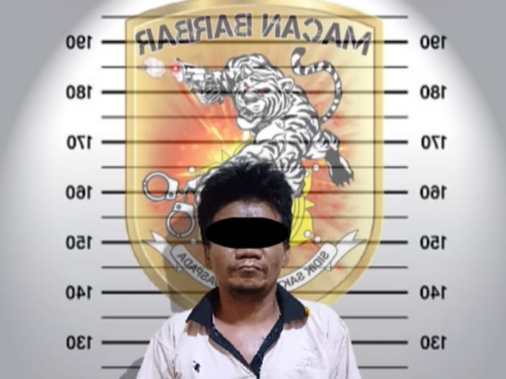 Macan barbar