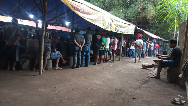 Sabung ayam