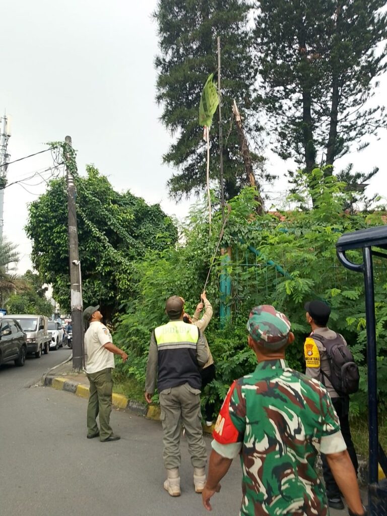 IMG-20250521-WA0136