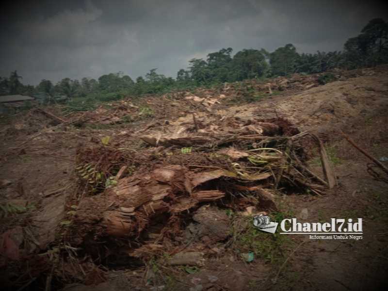 Perkebunan PTPN4 Dinilai Rugi Ratusan Juta. Diduga Asal-Asalan Karena Tidak Sesuai Pada Kerangka Acuan Kerja 5 Compress 20230408 160222 2702