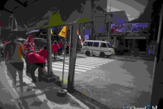 Compress 20230817 051410 0463