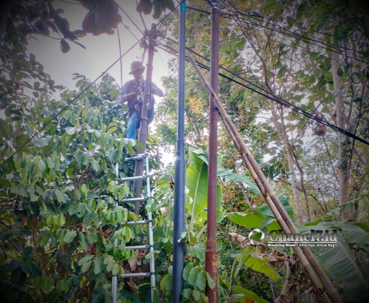 Kabel Fiber Optik Yang Diduga Milik Telkom Ciamis, Mengganggu Aktivitas Warga Desa Ciharalang 6 COLLAGE 20231006 174215