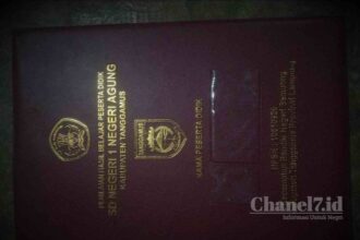 Compress 20231004 185017 7065