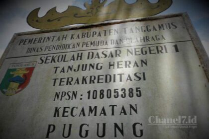 Compress 20231122 120205 5933