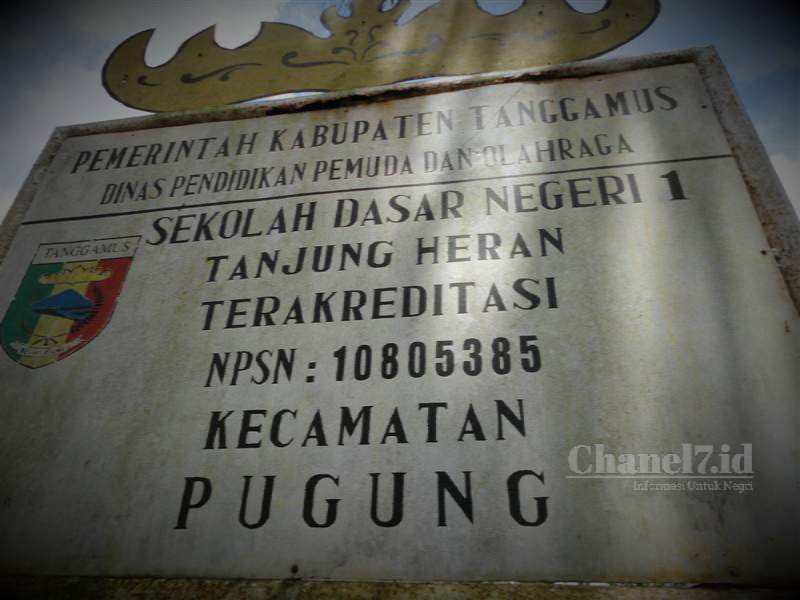 Compress 20231122 120205 5933