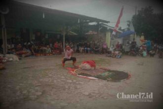 Compress 20240102 013927 7592