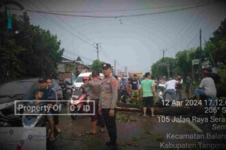 Compress 20240413 032451 1380