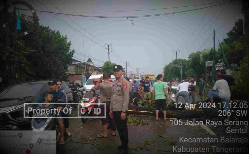 Sinergitas TNI POLRI dan Masyarakat dalam Evakuasi Pohon Tumbang Di Kiara Sentul Balaraja 5 Compress 20240413 032451 1380