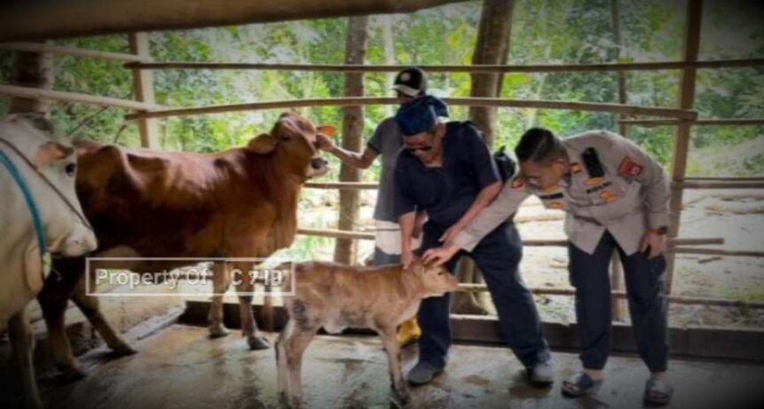 Lewat Bertani Dan Berternak Kapolsek Panongan Gerakkan Ekonomi Warga Panongan Tangerang 5 Compress 20240424 130906 6851