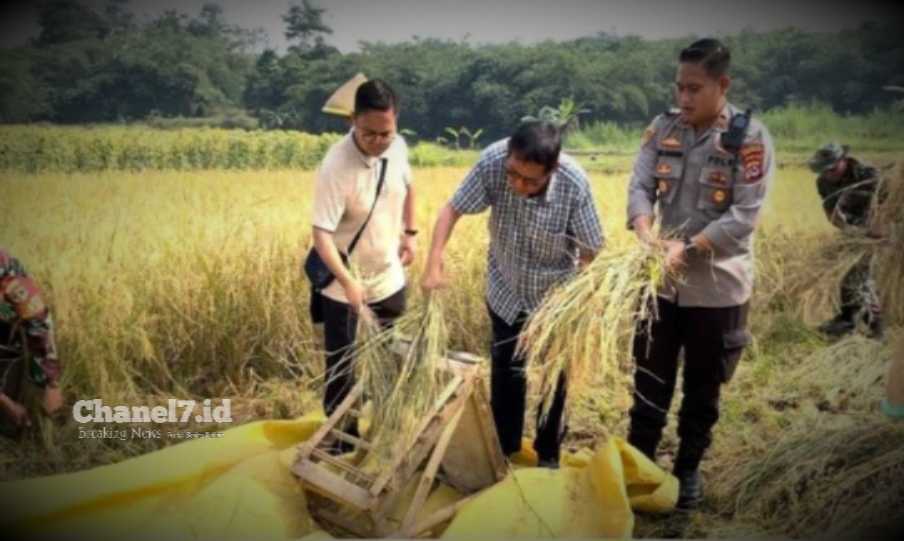 Lewat Bertani Dan Berternak Kapolsek Panongan Gerakkan Ekonomi Warga Panongan Tangerang 6 Compress 20240424 130925 5003