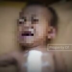 Compress 20240515 200658 8329