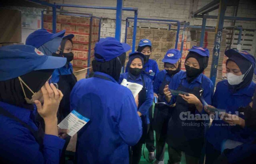 Cerita Inspiratif Kuliah Praktik Mahasiswa FEB UBP Karawang 5 Compress 20240608 204105 5197