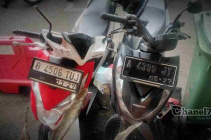 Compress 20240803 142439 9513