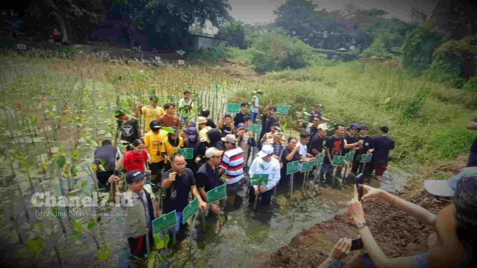 KMHB UNJ Berpartisipasi dalam Aksi Peduli Lingkungan Di Pantai Indah Kapuk 6 Compress 20240817 184032 2893