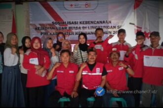 Compress 20251120 230421 1939