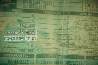 Compress 20260211 192348 8358