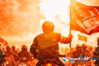 Chanel7.id 3 13