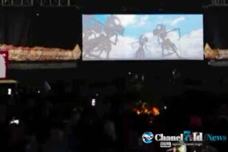 Chanel7.id 19